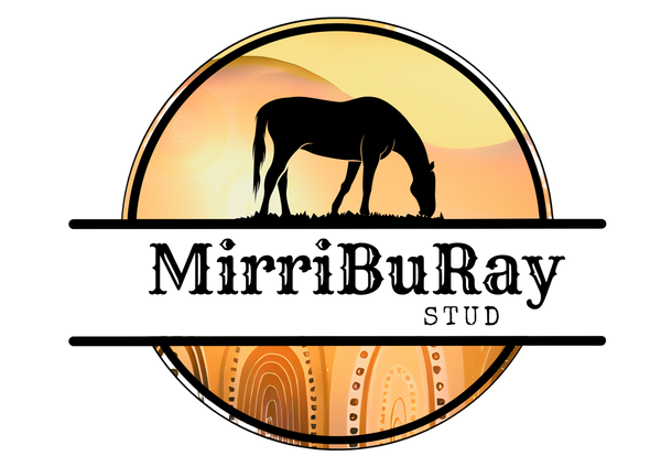 MirriBuray Stud
